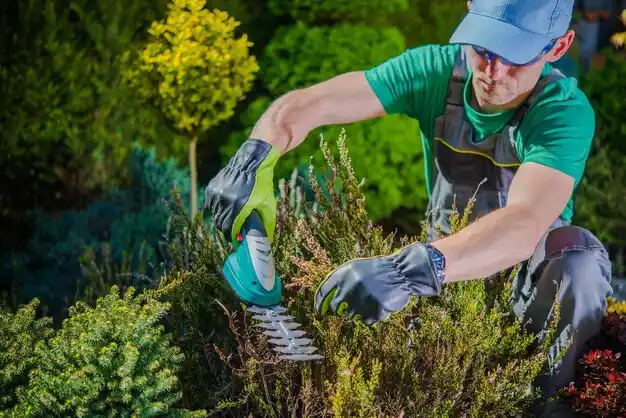 landscaping services Terrytown